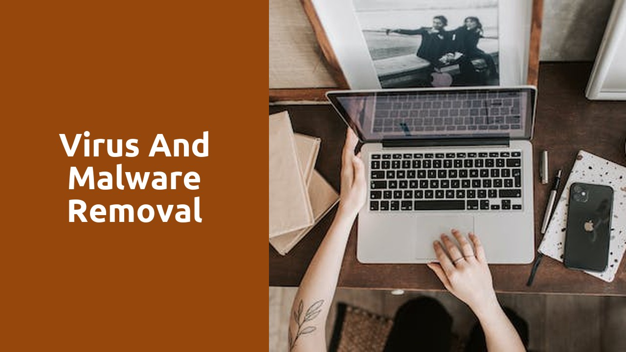 Virus and Malware Removal